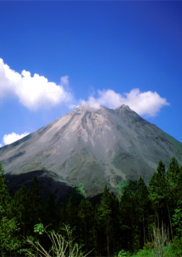 KATTIA BOLAÑOS